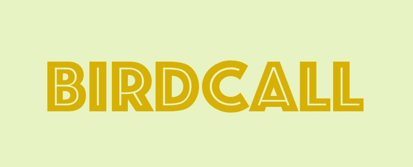 BIRDCALL PUBLISHING 2 1.jpg