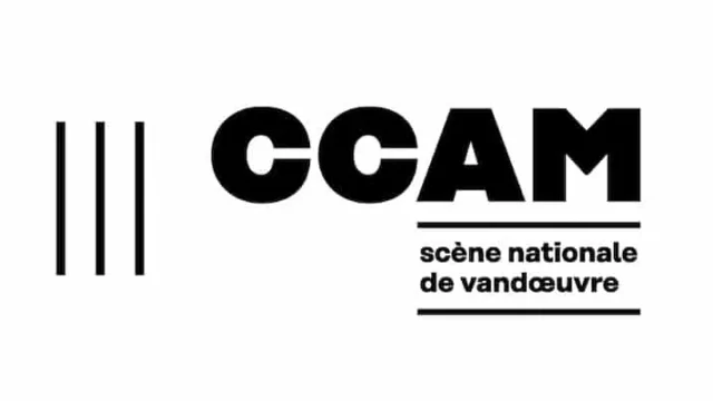 Centre Culturel Andre Malraux 1.webp