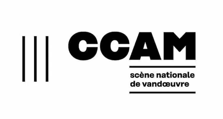 Centre Culturel Andre Malraux 1.webp