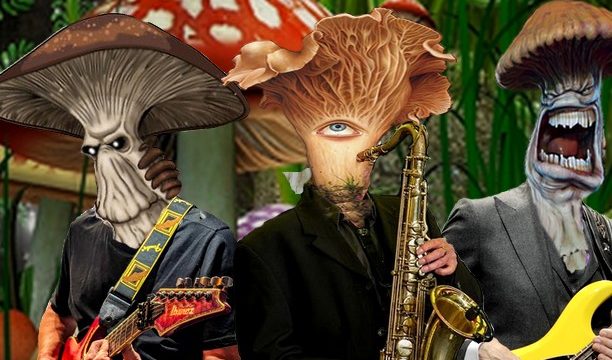 Champignon3 2.jpg