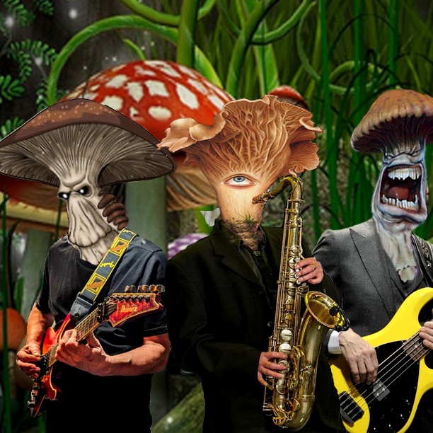 Champignon3 3.jpg