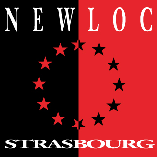 NLS LOGO petit 1 1.jpg