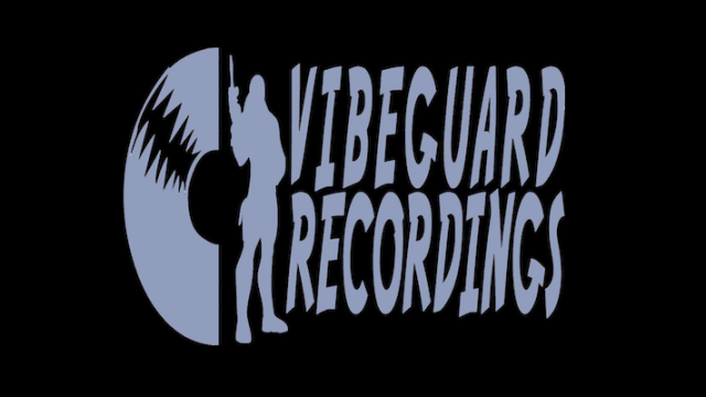 VIBEGUARD 3.png