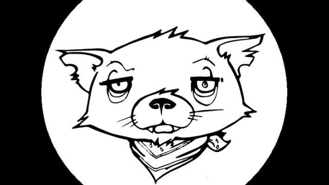 chat noire 1 1.jpg