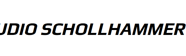 logo et nom 1 0 2 1.png