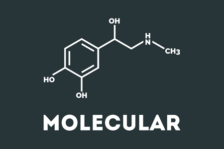 lolecular 1.jpg